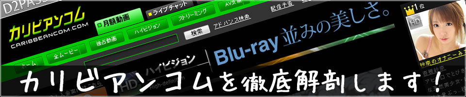 カリビアンコムの感想